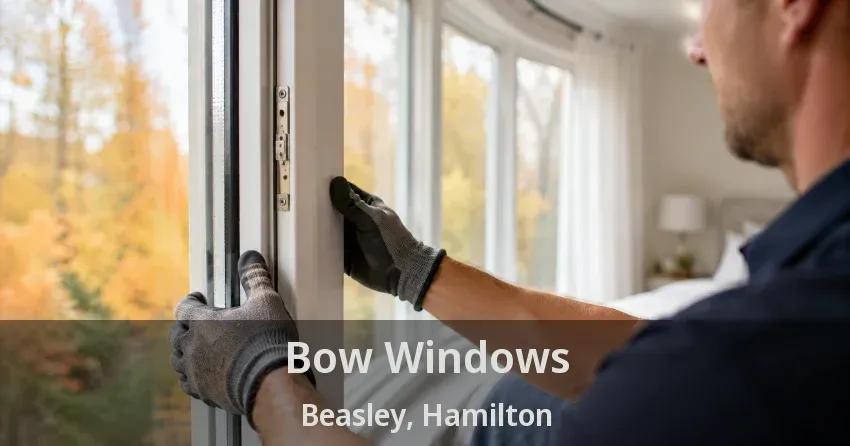 Bow Windows Beasley, Hamilton - ON