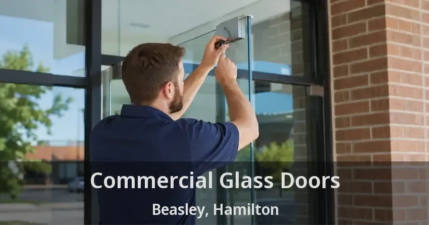 Commercial Glass Doors Beasley, Hamilton - ON