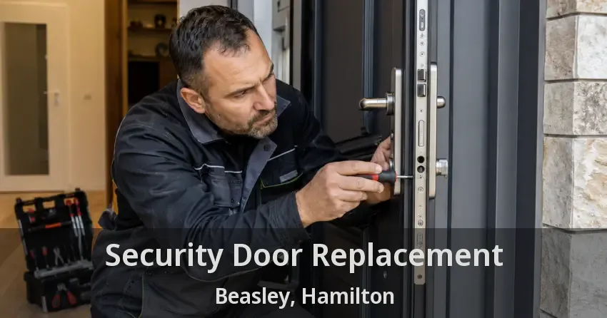 Security Door Replacement Beasley, Hamilton - ON